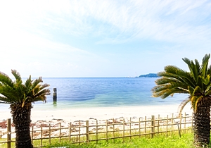 NOWSARAみやざきまりえ